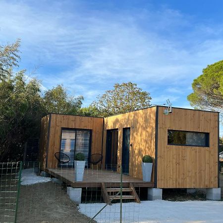 Chalet Contemporain Montauban Exteriér fotografie